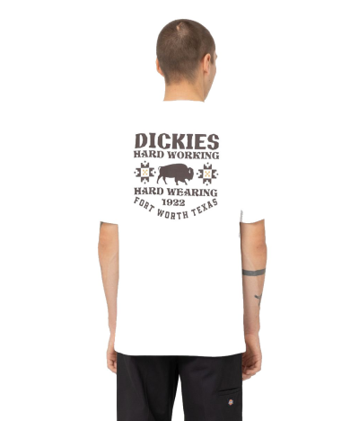 Camiseta de manga corta Dickies Hays Blanca espalda
