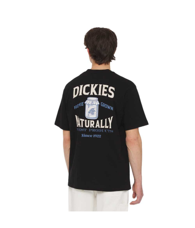 Camiseta de manga corta Dickies Elliston Negra espalda